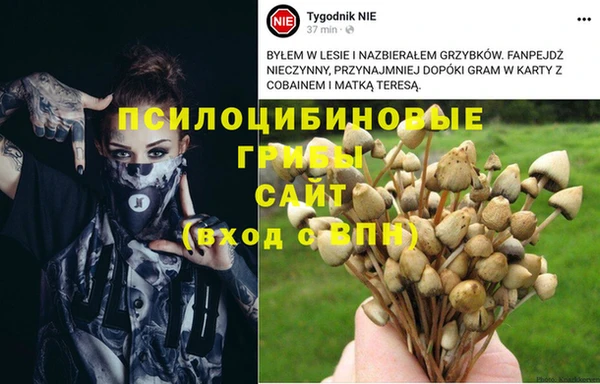 амф Алексеевка