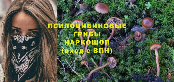 кокс Алексин