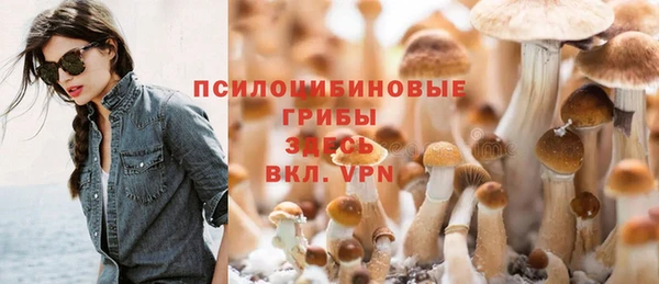 прущая мука Алзамай