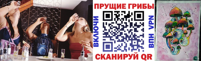 Псилоцибиновые грибы ЛСД хочу наркоту Новопавловск