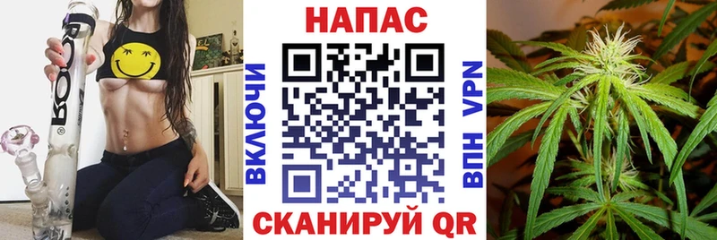 KRAKEN маркетплейс  где можно купить наркотик  Новопавловск  Шишки марихуана Ganja 